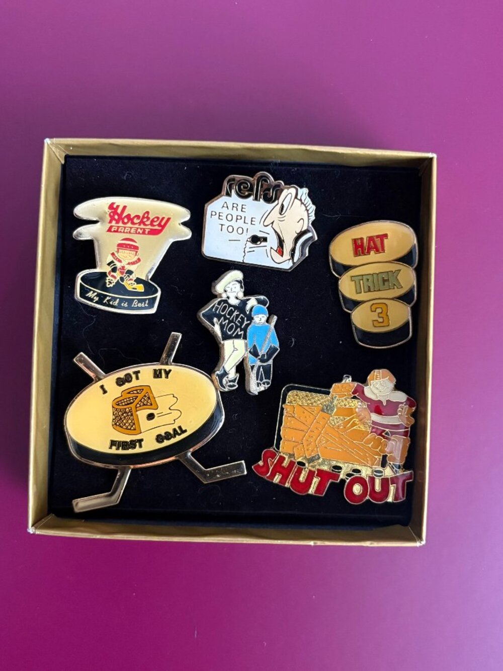 Six (6) Retro Hockey Pins